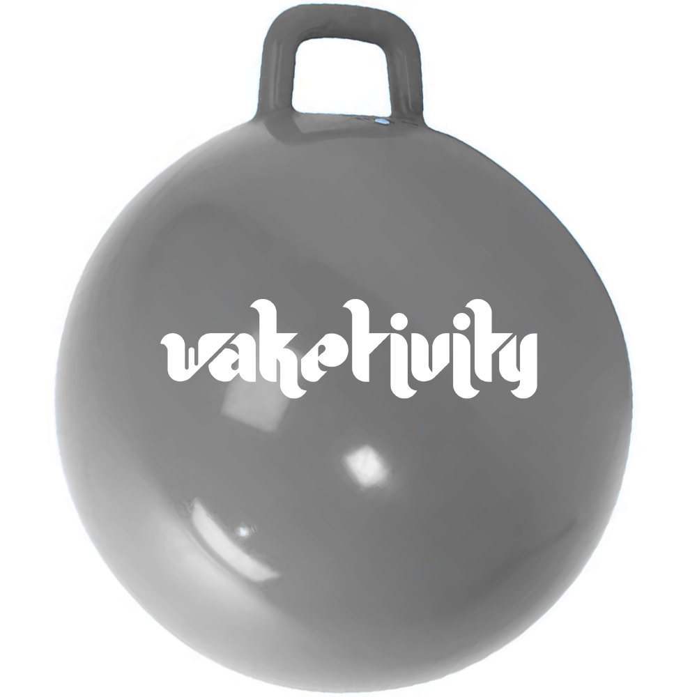 Waketivity Buoy Ball Fender